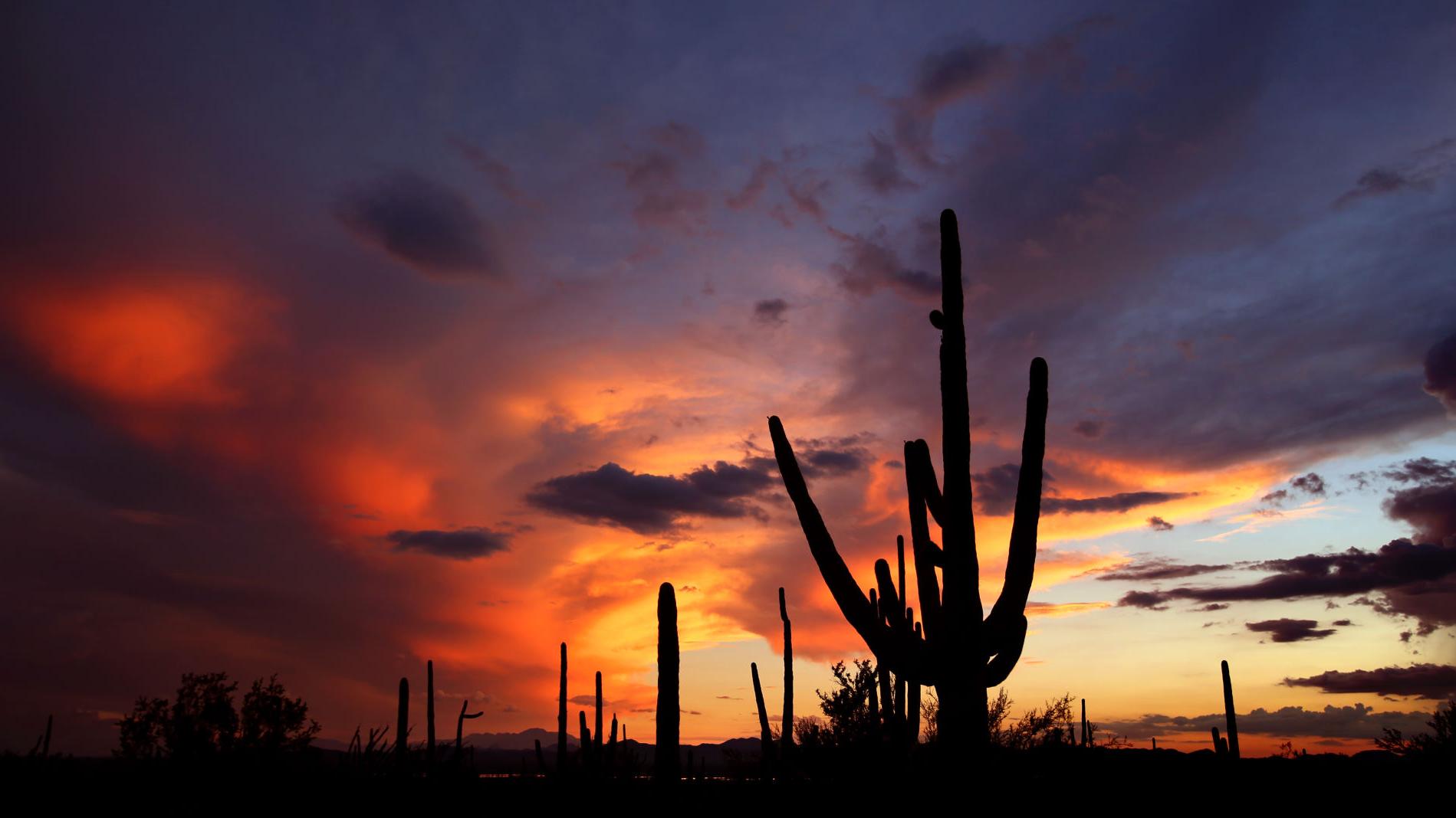 7 ways to make Tucson feel like home